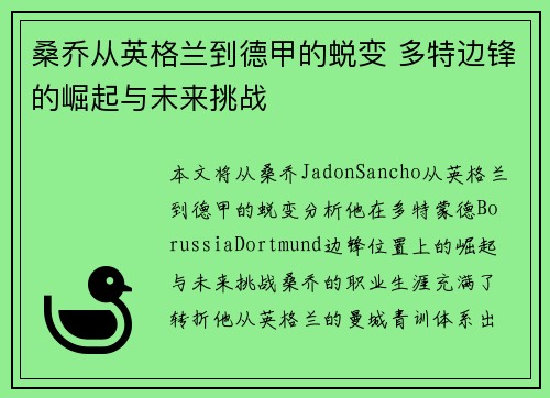 桑乔从英格兰到德甲的蜕变 多特边锋的崛起与未来挑战